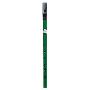 Acorn Pennywhistle in Green (平装)