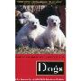Dogs: A New Understanding of Canine Origin, Behavior and Evolution (平装)