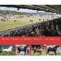 Sixty Years of Royal Welsh Champions: A Celebration of Welsh Pony and Cob Champions, 1947-2007 (精装)