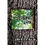 Listening Tree (平装)