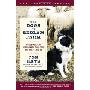 The Dogs of Bedlam Farm: An Adventure with Sixteen Sheep, Three Dogs, Two Donkeys, and Me (平装)