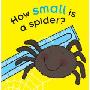 How Small Is a Spider? (木板书)