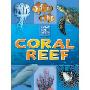 Coral Reef (平装)