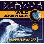 Amazing X-Rays: Wild Animals (精装)