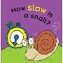 How Slow Is a Snail? (木板书)