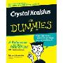 Crystal Xcelsius for Dummies (平装)