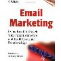 Email Marketing: Using Email to Reach Your Target Audience and Build Customer Relationships (平装)