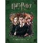Harry Potter and the Order of the Phoenix: 2008 Desk Calendar (Calendar)