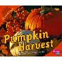 Pumpkin Harvest (图书馆装订)