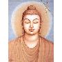 Buddha Art Cards (平装)