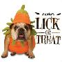 Zelda's Lick-Or-Treat (木板书)