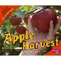 Apple Harvest (图书馆装订)