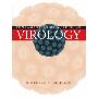 Fundamentals of Molecular Virology (平装)