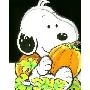 Baby Snoopy's Pumpkin (木板书)
