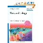 Nanotechnology: Volume 4: Information Technology II (精装)