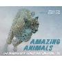 Amazing Animals: The Remarkable Things That Creatures Do (精装)