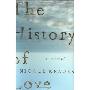 The History of Love (精装)