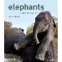 Elephants: A Book for Children (精装)