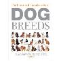 The Illustrated Encyclopedia of Dog Breeds (精装)
