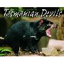 Tasmanian Devils (平装)
