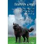 Scaredy Dog: Understanding and Rehabilitating Your Reactive Dog (Perfect Paperback)