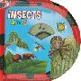 Insects A to Z [With CD (Audio)] (木板书)