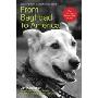 From Baghdad to America: Life After War for a Marine and His Rescued Dog (平装)