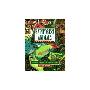 Rainforest Animals Clue Game: Playful Nature Card Games about Amimals and Their Lives (日常用品)
