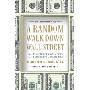 A Random Walk Down Wall Street: The Time-Tested Strategy for Successful Investing (精装)