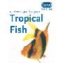 RSPCA Pet Guide – Care for your Tropical Fish (平装)
