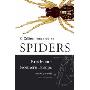 Collins Field Guide – Spiders of Britain and Northern Europe (精装)