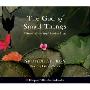 The God of Small Things (CD)