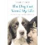 The Dog that Saved My Life: Incredible true stories of canine loyalty beyond all bounds (平装)