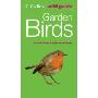 Collins Wild Guide – Garden Birds (平装)