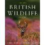 Collins British Wildlife (精装)