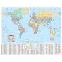 The Times World Wall Laminated Map (地图)