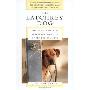 The Latchkey Dog: How the Way You Live Shapes the Behavior of the Dog You Love (平装)