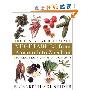 Vegetables from Amaranth to Zucchini: The Essential Reference: 500 Recipes 275 Photographs (精装)