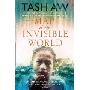 Map of the Invisible World (平装)