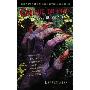 Cirque Du Freak #6: The Vampire Prince: Book 6 in the Saga of Darren Shan (简装)