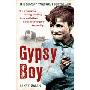 Gypsy Boy: One Boy's Struggle to Escape from a Secret World (平装)