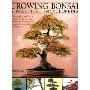 Growing Bonsai: A Practical Encyclopedia (精装)