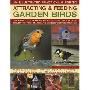 The Illustrated Practical Guide to Birds in the Garden: The Complete Book of Bird Feeders, Bird Tables, Birdbaths, Nest Boxes and Backyard Birdwatching (精装)