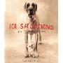 101 Salivations: For the Love of Dogs (精装)