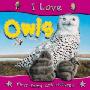 I Love Owls (平装)