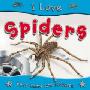 I Love Spiders (平装)