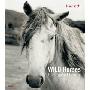 Wild Horses: Endangered Beauty (精装)