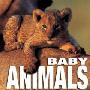 Baby Animals (精装)