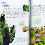植物王国--我的第一本科学书