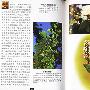 生命的演化——视野少年百科全书